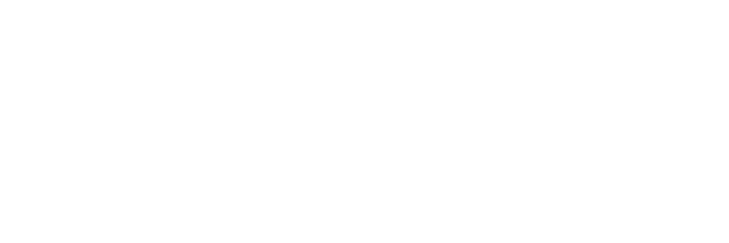 VFXER Website Logo 220 retina