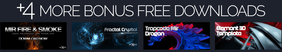 4 Bonus Downloads Download page