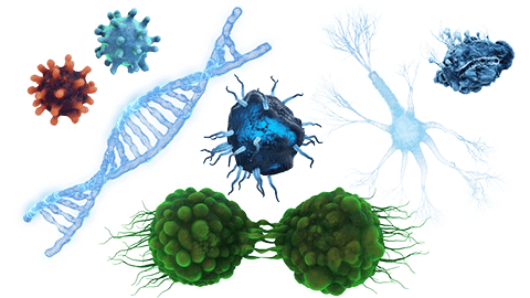 vfxer bio cell mixed cells 480px e3d